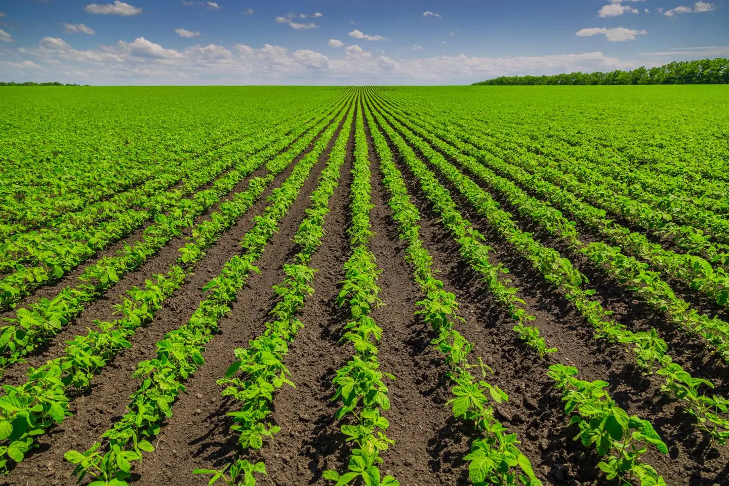 Accedé siempre, y con beneficios, a lo último en genética y biotecnología.